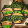 How to Make Moss Wall Art: A Step-by-Step DIY Guide