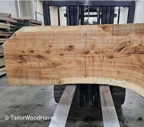 Ash Wood: Characteristics, Strength, Uses & Benefits