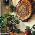 How to Make Wood Wall Art from Wooden Slices: A Step-by-Step DIY Guide