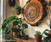 How to Make Wood Wall Art from Wooden Slices: A Step-by-Step DIY Guide