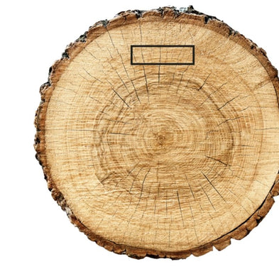 Oak Wood: Characteristics, Types, Uses & Care