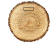 Oak Wood: Characteristics, Types, Uses & Care