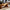 Don't Get It Wrong: The Essential Coffee Table Height Standard