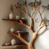 How to Make a Tree Branch Bookshelf – A DIY Project with Soul