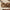 Wall Decor from Wood Handmade Decorative Wall Panels Crafted from Wood for Warm, Inviting Interior Design