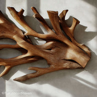Wall Art with Driftwood Nature Inspired Wall Sculpture Featuring Real Driftwood for Modern Rustic Homes