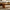 Live Edge Coffee Table Walnut Natural Walnut Coffee Table with Live Edge for Warm, Rich, and Rustic Interiors