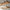 Rustic kitchen floating shelves made from aged wood with sealed finish and bracket free design, ideal for spices, dishes, or warm kitchen decor
