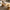 Soft Edge Coffee Table Natural Live Edge Coffee Table with Gently Smoothed Edges for Rustic and Modern Living Rooms