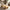 Soft Edge Coffee Table Natural Live Edge Coffee Table with Gently Smoothed Edges for Rustic and Modern Living Rooms