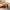 Natural Wood Coffee Table Round Round Live Edge Coffee Table Made from Natural Wood for Earthy and Organic Room Settings