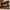 Natural wood floating corner shelf built with a soft live edge and right angle design, ideal for maximizing small corner spaces in earthy interiors