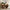 Farmhouse Narrow Console Table with Storage for Entryway or Living Room
