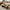 Classic Solid Wood Coffee Table - Timeless Design