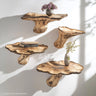 Handmade mushroom shelf - Wooden floating shelf