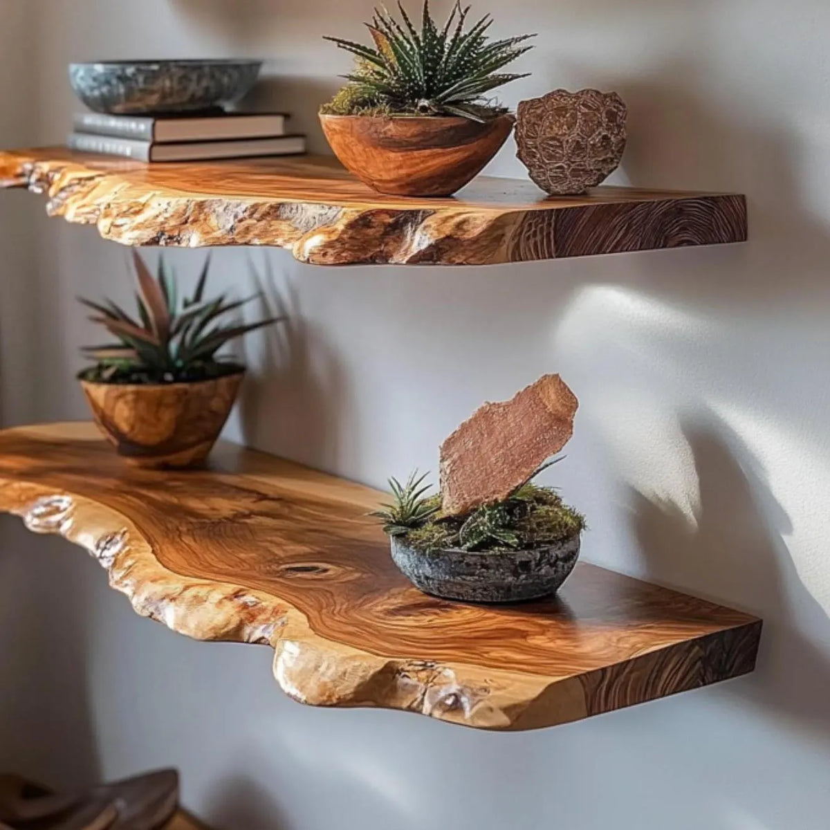 Live edge floating shelves with succulents, a bowl and books on a white wall