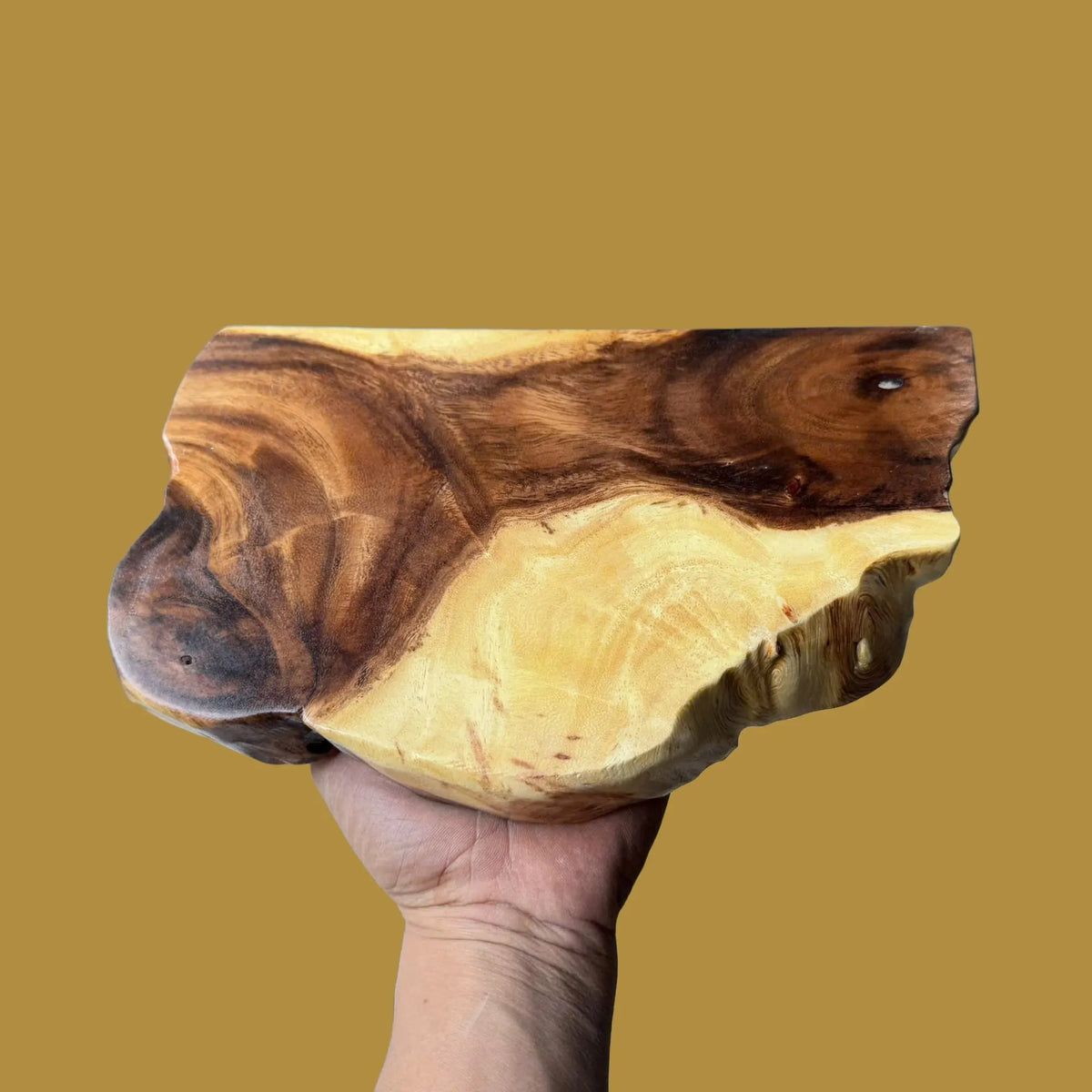 Underside view of a live edge shelf piece held up against a mustard background