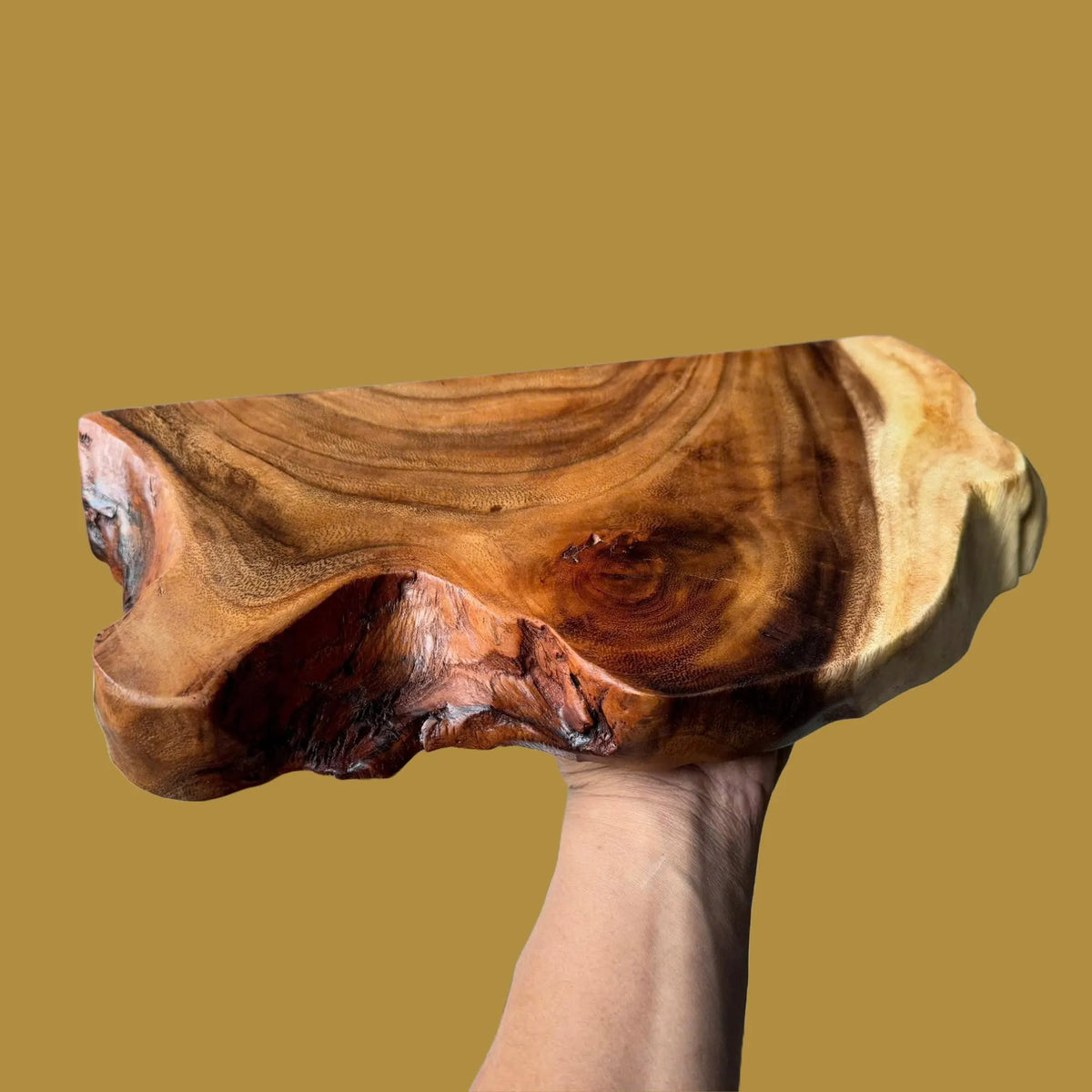 Hand holding a live edge wood shelf piece against a mustard background to show the grain