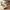 Decorative Tree Shelves Design Wooden Floating Wall Shelf Featuring an Artistic Tree Silhouette