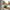 Handcrafted Wood Shelves – Highlights handmade quality