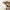 Handcrafted Rustic Console Table – Solid Wood, Made to Order