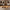 Live Edge Wood Floating Shelves – Rustic Corner Shelf Set