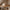 Live Edge Wood Floating Shelves – Rustic Corner Shelf Set