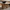 Live Edge Wood Coffee Tables Handcrafted Live Edge Coffee Tables in Solid Wood for Cozy, Natural Interiors