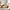 Live Edge Walnut Coffee Table Premium Live Edge Coffee Table Crafted from Walnut Wood for Warm and Rich Interior Styling