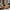 Live Edge Wooden Coffee Table Wooden Coffee Table with Organic Live Edge for Warm, Rustic Room Styling