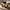 Natural Wood Coffee Table Rectangle Rectangular Coffee Table Made from Natural Wood with Rustic Live Edge Detail