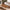 Small wood slab coffee table made from real timber with a sealed live edge and compact form, ideal for cozy living rooms or small seating areas