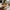 Oak slab coffee table crafted from solid oak with smooth top and bold edge grain, offering a durable and elegant surface for rustic living rooms