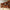 Wood Wall Art Large Large Scale Wall Art Panels Made of Natural Wood for Modern or Farmhouse Styling