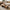 Wood Slab Coffee Table Legs made from natural hardwood slabs with unique grain and sturdy custom legs, perfect for rustic or modern living spaces