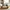 Live Coffee Table Handcrafted Coffee Table Featuring Raw Live Wood Edge and Natural Timber Grain