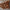 Abstract Wall Art Wood Artistic Wooden Wall Panel Featuring Abstract Shapes and Natural Grain for Contemporary Decor