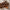 Wood Panel Artwork Decorative Wood Panel Artwork Designed for Rustic, Modern, or Nature Themed Walls