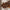 Wood Panel Artwork Decorative Wood Panel Artwork Designed for Rustic, Modern, or Nature Themed Walls