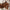Wood Wall Carving Decorations Hand Carved Wood Wall Decorations Featuring Organic Designs for Earthy, Artisan Spaces