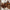 Wood Wall Carving Decorations Hand Carved Wood Wall Decorations Featuring Organic Designs for Earthy, Artisan Spaces