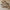 Outdoor Driftwood Wall Art sealed for weather resistance using natural wood pieces, perfect for decorating patios, garden walls, or covered balconies