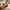 Large Live Edge Coffee Table Oversized Live Edge Coffee Table Crafted from Solid Wood for Spacious Living Rooms