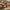 Live Edge Small Coffee Table Compact Live Edge Coffee Table Perfect for Small Spaces, Apartments, or Reading Corners