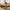 Live Edge Slab Coffee Table Solid Slab Coffee Table with Live Edge Detailing for Rustic, Artisan Room Settings