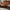 Solid Wood Live Edge Coffee Table built with a natural live edge slab top and smooth finish, ideal for earthy living spaces with a modern organic feel