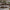 Set of Tree Branch Floating Shelves Wall Mounted Natural Wood Bookshelves for Eco Style Interiors