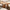Rough cut wood coffee table made from thick hardwood with a rugged surface and organic edge, ideal for rustic living spaces or lodge style homes